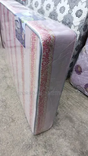 6by6by10 Green Earth Semi Orthopedic Mattress Spring