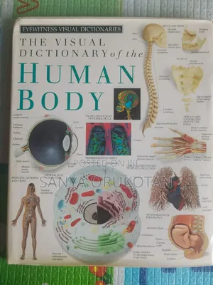 The Visual Dictionary of the Human Body