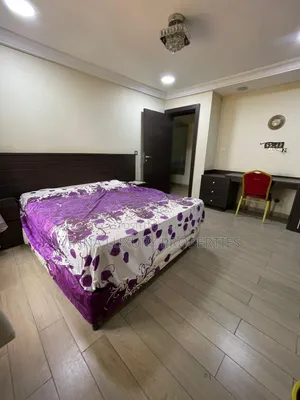 Furnished 8bdrm Duplex in Asokoro Main for rent