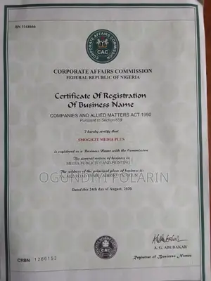 Mr Folarin Ogundiyi