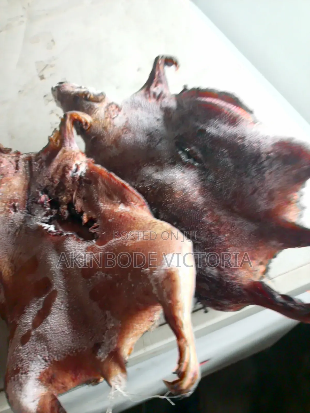 Roasted Bushmeat