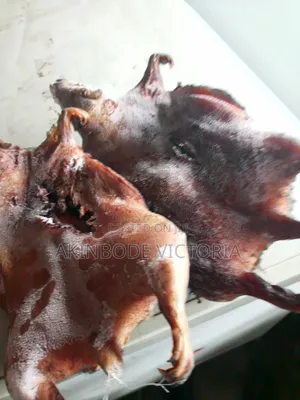 Roasted Bushmeat