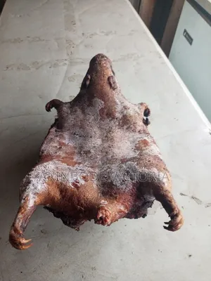 Roasted Bushmeat