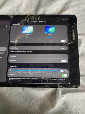 Apple iPad 10.2 (2021) 256 GB Gray