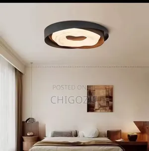 Ceiling Lights in Different Light Shades