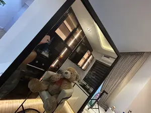 Standing Full Mirror