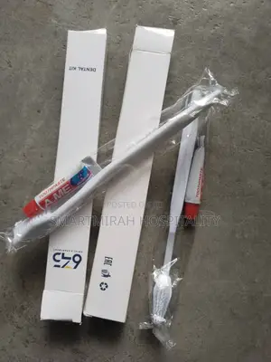 1000PCS Hotel Dental Kit