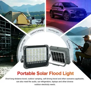 Rechargeable Solar Light