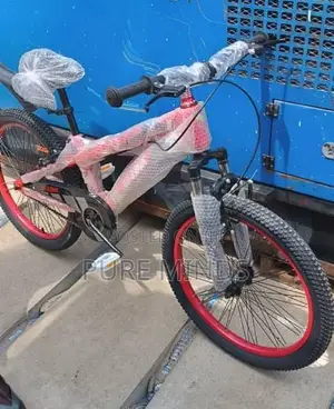 Best Quality Bicycle for Elder Children (13-15years)