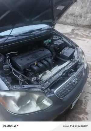 Toyota Corolla 2005 Gray