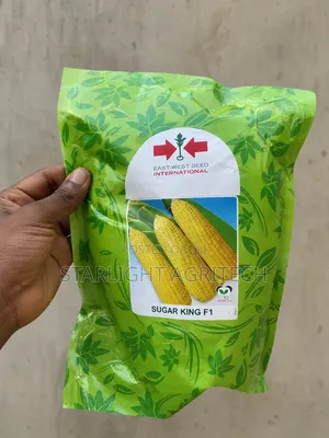 Sugar King F1 Sweet Corn Seed | Sweet Like Honey