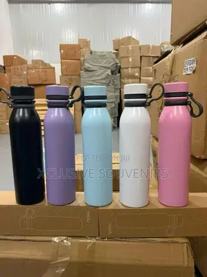 750ML Insulated Vacuum Flask