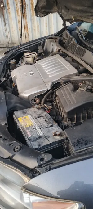Toyota Venza 2009 Green