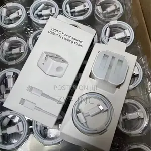 Original Fast Charger