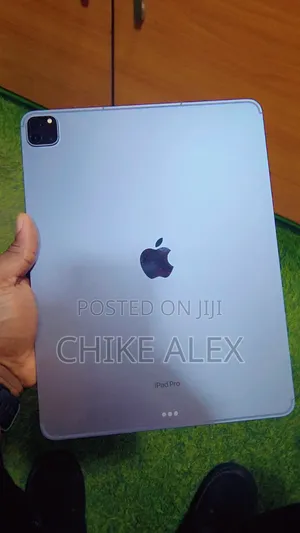 Apple iPad Pro (2022) 512 GB Gray