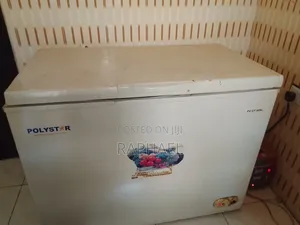 Used 409L Polystar Freezer