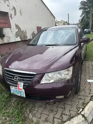 Hyundai Sonata 2010 Burgundy