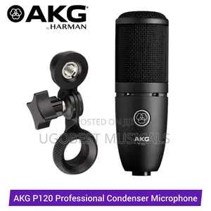 AKG P120 Professional Large-Diaphragm Studio Condenser Microphone