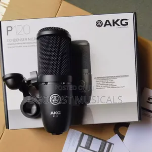AKG P120 Professional Large-Diaphragm Studio Condenser Microphone