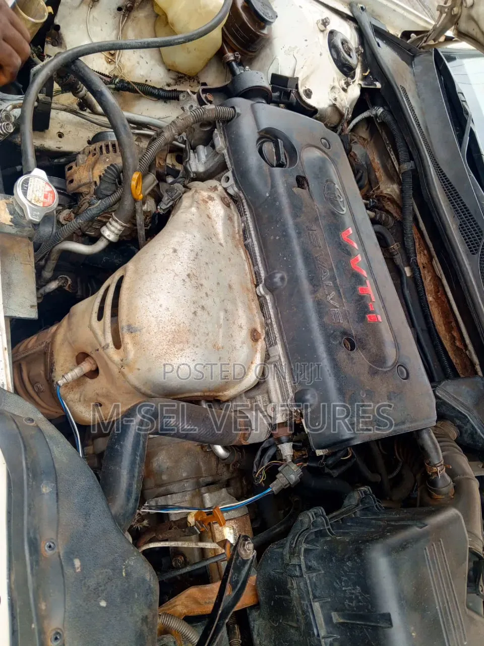 Toyota Camry 2004 White