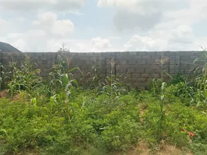 2 Hectares Jv Land at Durumi Opposite Prince and Princess Estate