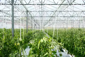 Greenhouse Construction Installation in Lagos | Nigeria