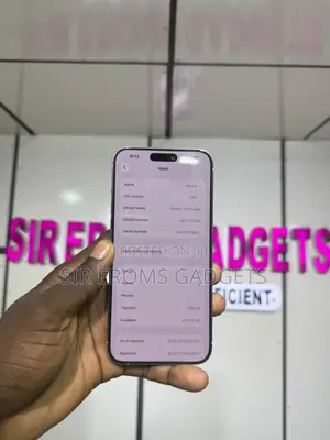 Apple iPhone 15 Pro Max 256 GB Silver