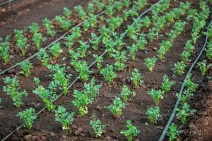 Farm Irrigation System Installation Lagos Nigeria