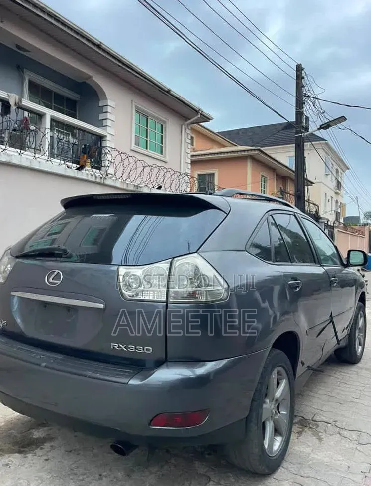 Lexus RX 2004 Gray