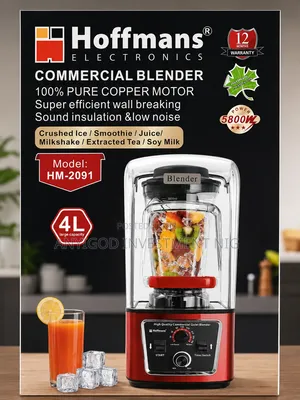 Hoffman High Power Commercial Blender 4L
