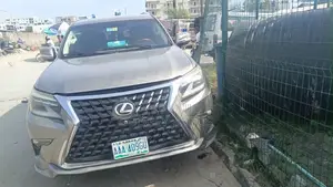 Lexus GX 460 2010 Gray