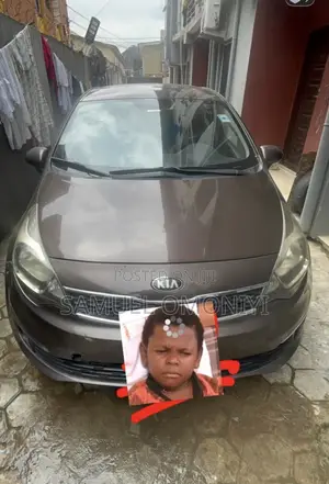 Kia Rio 2014 Brown