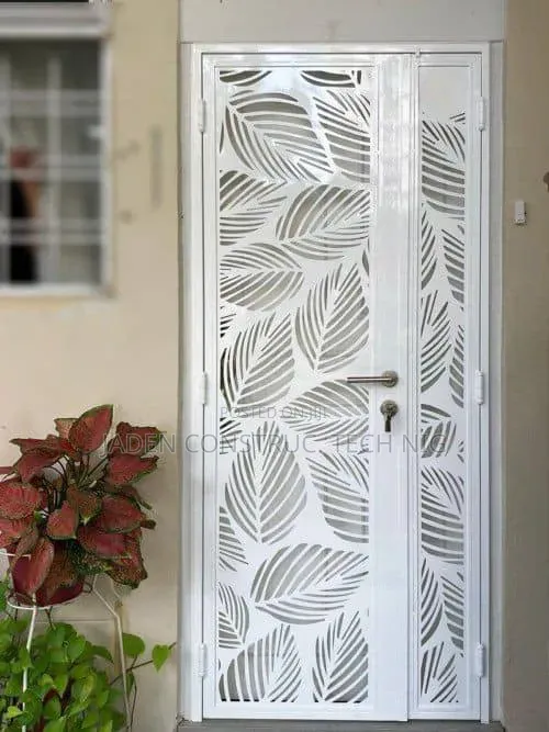 Laser Door