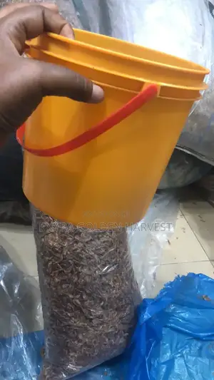 Neat Ondo Crayfish Crayfish
