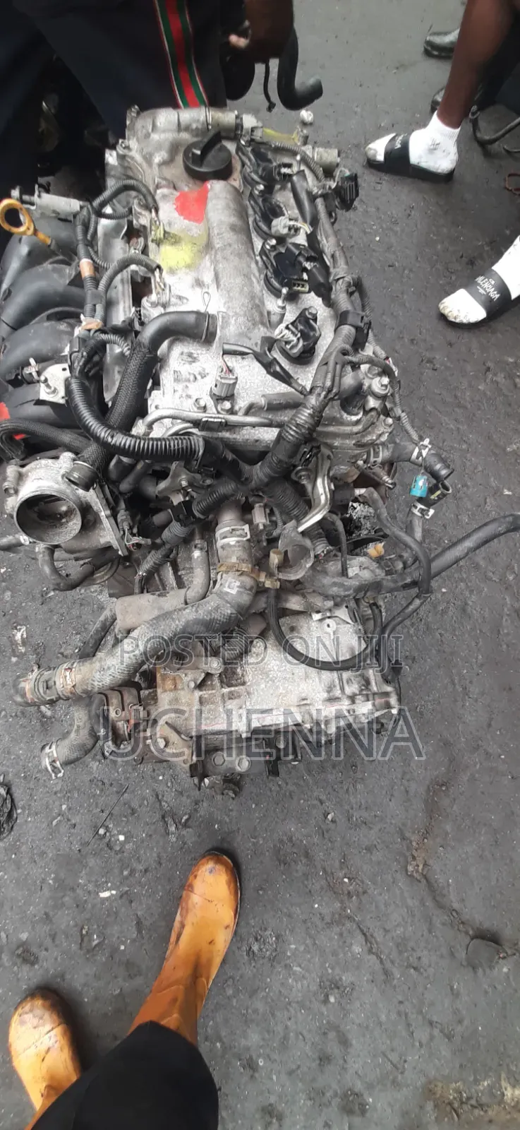 Automatic 12pin Gearbox