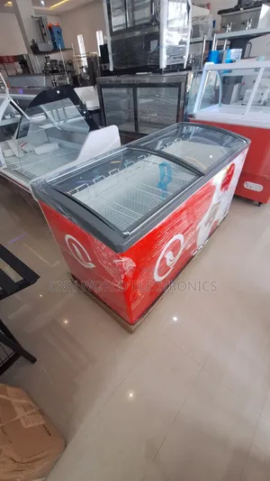 High Quality RUTH Showcase Chiller Freezer for Ice Cream Warranty