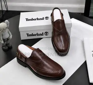 Timberland Men’S Quality Shoe for Everyday Use