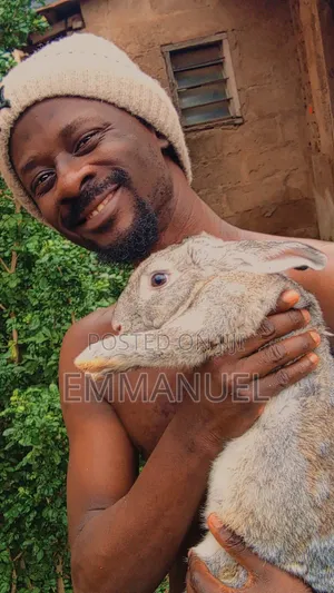 Rabbit Farm