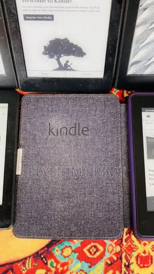 Amazon Kindle 4 GB Gray