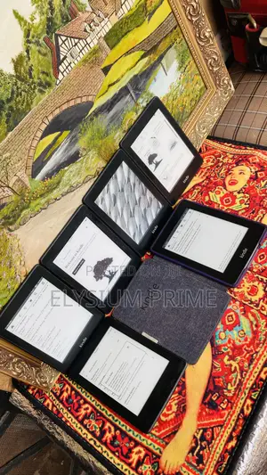 Amazon Kindle 4 GB Gray
