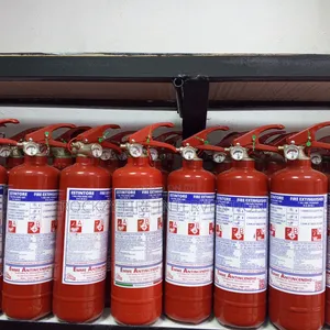 1kg DCP Fire Extinguisher