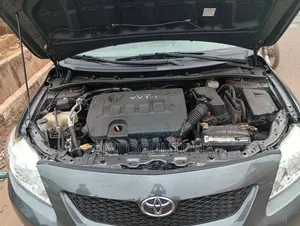 Toyota Corolla 2010 Beige