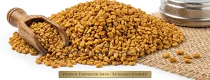Fenugreek Seeds – Natural Wellness Health Support