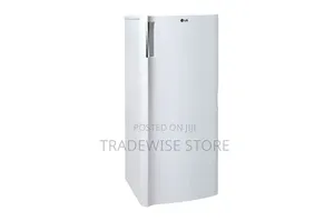 LG Standing Freezer 168L White (GN-304SQ)