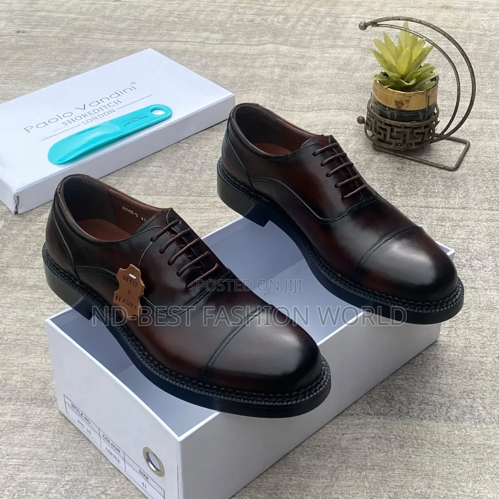 Paolo Leather Shoe