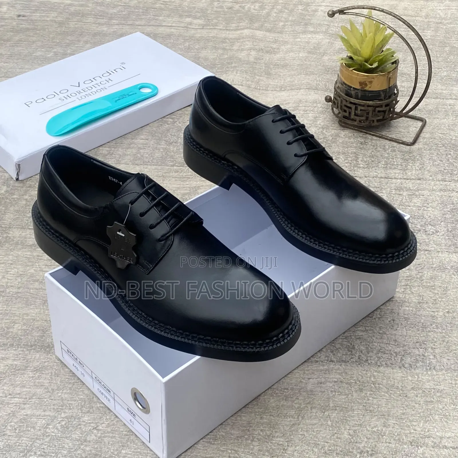 Paolo Leather Shoe