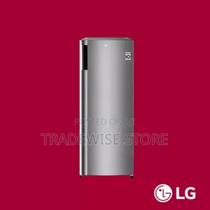 LG Standing Freezer 168L Silver (GN-304SL)