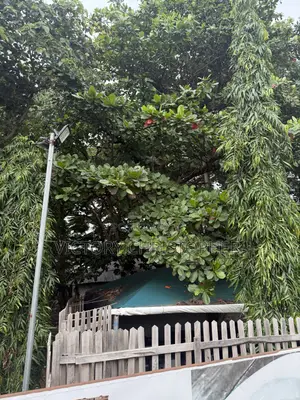 1220sqm Residential Land