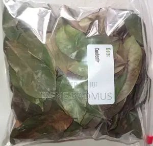 Dried Soursop Leaves 100g