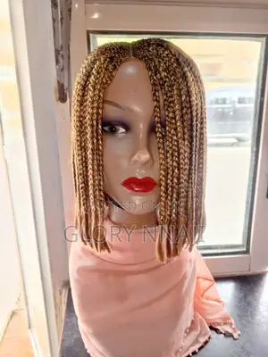 Beautiful Braided Wig